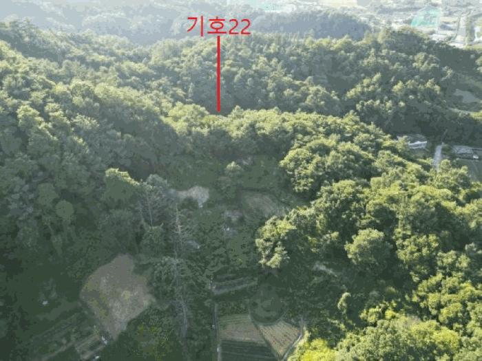 충청북도 제천시 금성면 성내리 산48-1 임야 경매 사진 51