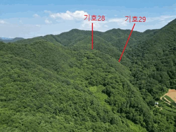 충청북도 제천시 금성면 성내리 산48-1 임야 경매 사진 53