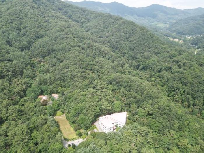 충청북도 제천시 금성면 성내리 산48-1 임야 경매 사진 55
