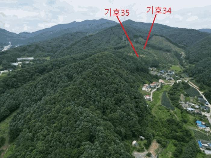 충청북도 제천시 금성면 성내리 산48-1 임야 경매 사진 8