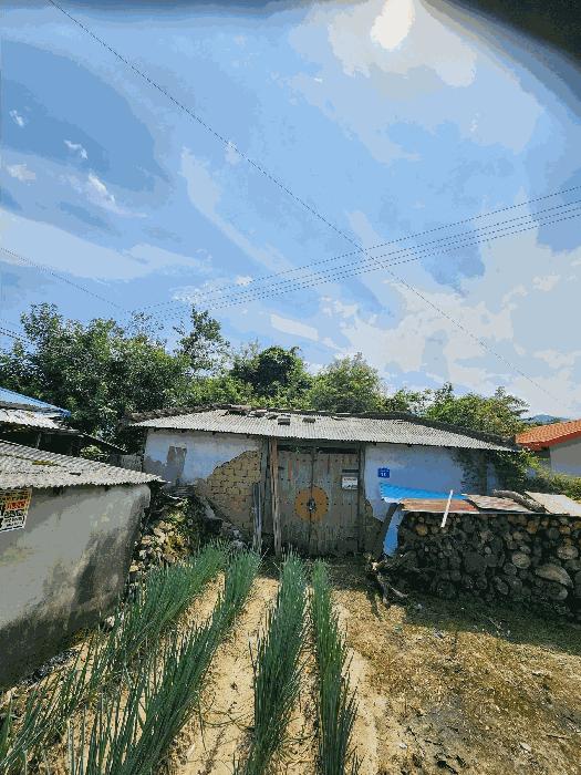 충청북도 충주시 신니면 용원리 129 주택 경매 사진 2