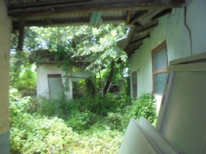 충청북도 충주시 신니면 용원리 129 주택 경매 사진 7