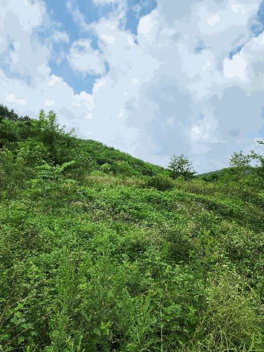 충청북도 음성군 감곡면 단평리 59-3 전 경매 사진 4