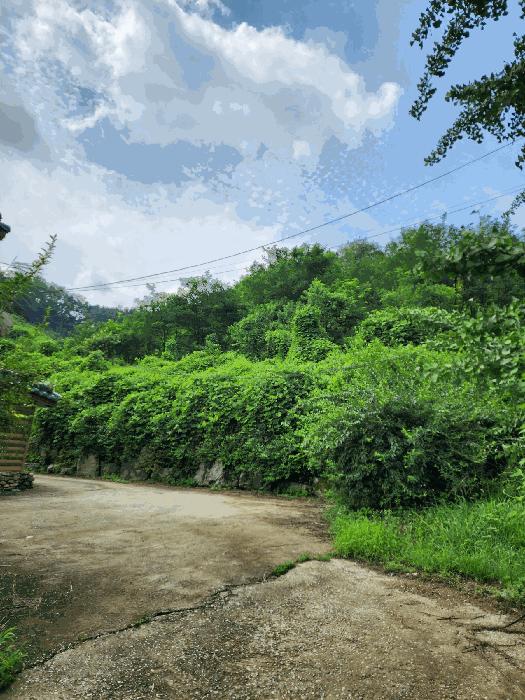충청북도 음성군 감곡면 단평리 59-4 전 경매 사진 1