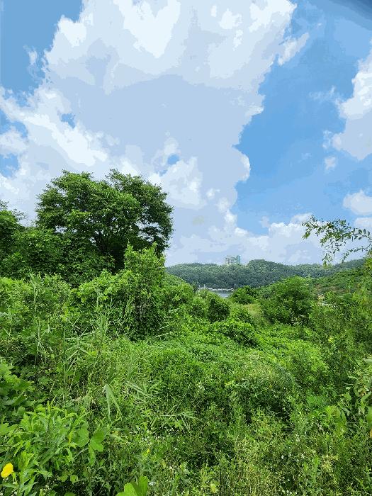 충청북도 음성군 감곡면 단평리 59-4 전 경매 사진 14