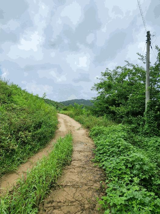 충청북도 음성군 감곡면 단평리 59-7 전 경매 사진 15