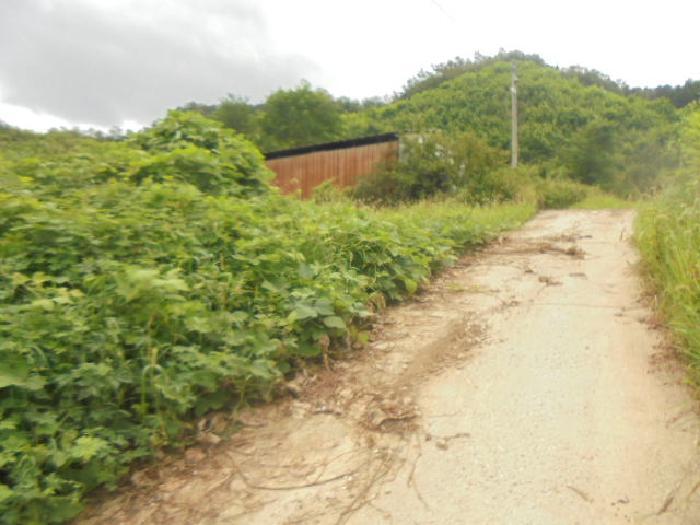 충청북도 음성군 감곡면 단평리 59-7 전 경매 사진 17