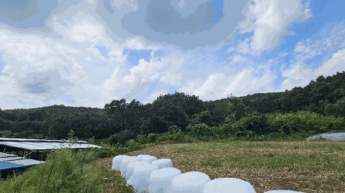 충청북도 충주시 주덕읍 삼청리 산92 임야 경매 사진 2