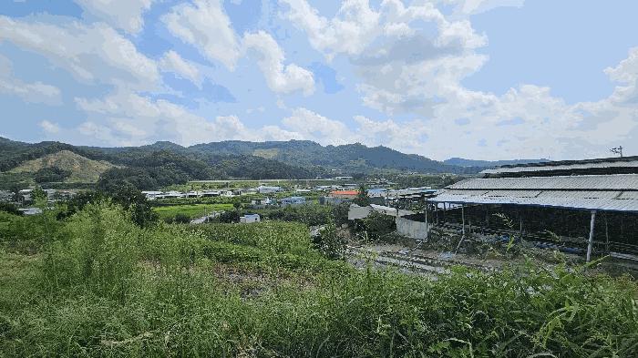 충청북도 충주시 주덕읍 삼청리 산92 임야 경매 사진 8