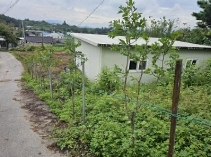 충청북도 제천시 신월동 335-2 전 경매 사진 11