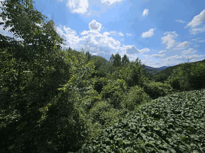 충청북도 제천시 전