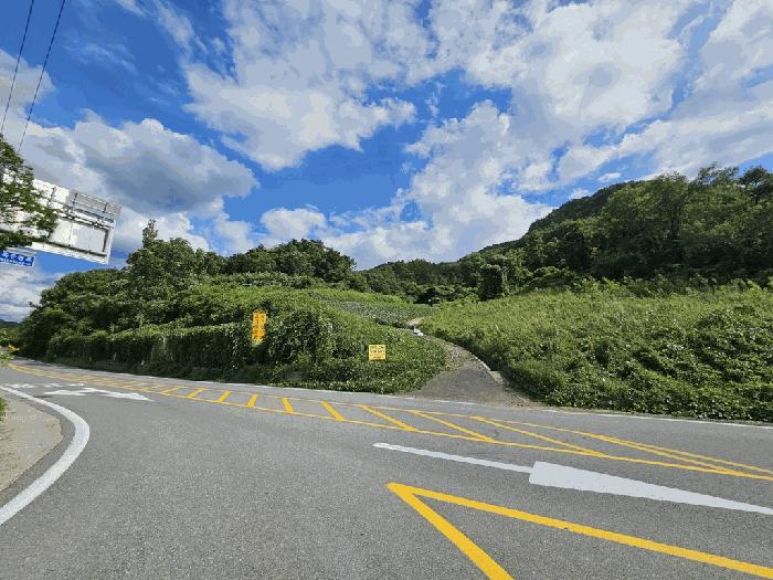 충청북도 제천시 수산면 원대리 222 전 경매 사진 2