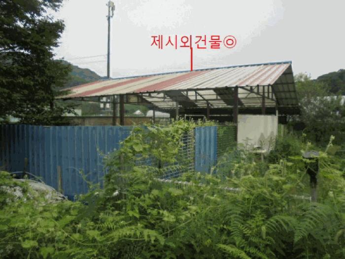 충청북도 제천시 봉양읍 학산리 350 답 경매 사진 11