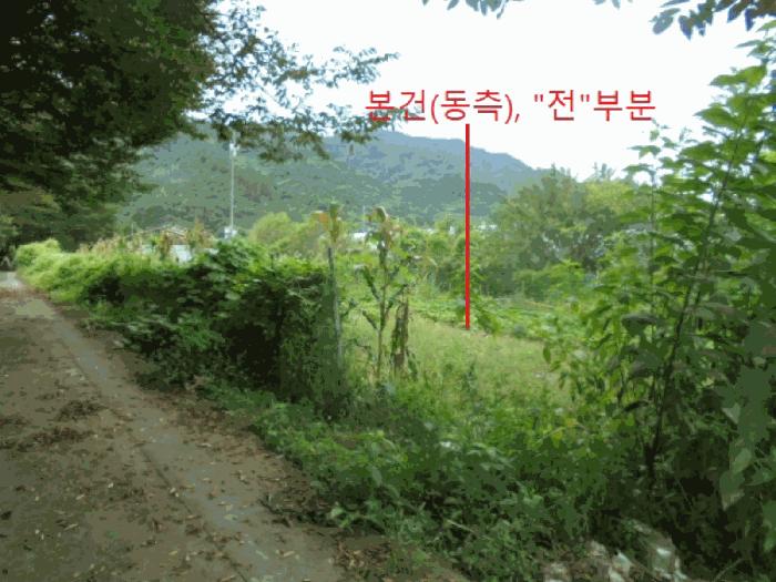 충청북도 제천시 봉양읍 학산리 350 답 경매 사진 12
