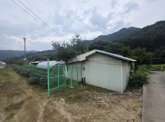 충청북도 제천시 봉양읍 학산리 350 답 경매 사진 13