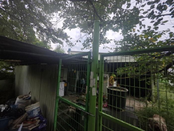 충청북도 제천시 봉양읍 학산리 350 답 경매 사진 14