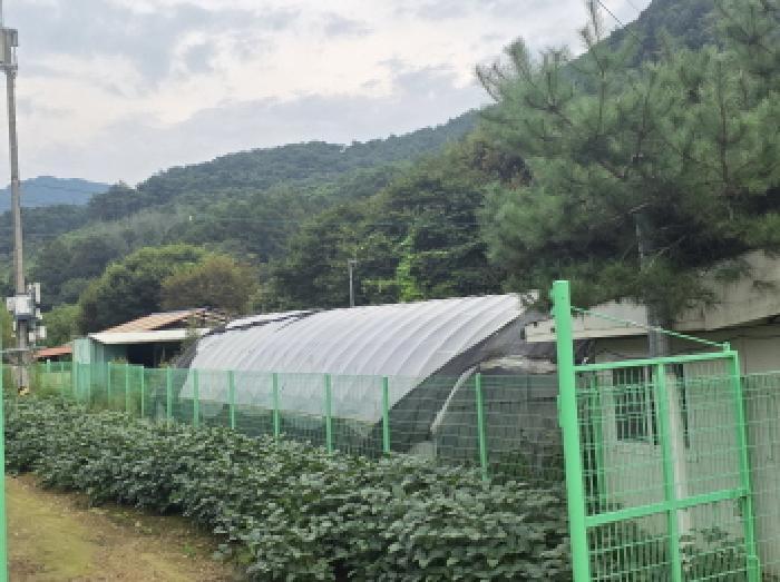 충청북도 제천시 봉양읍 학산리 350 답 경매 사진 18