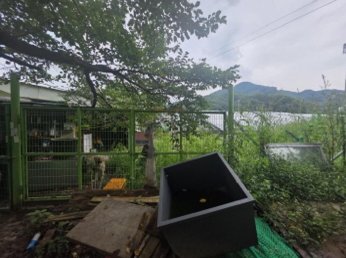 충청북도 제천시 봉양읍 학산리 350 답 경매 사진 19