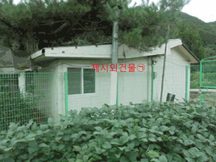 충청북도 제천시 봉양읍 학산리 350 답 경매 사진 2