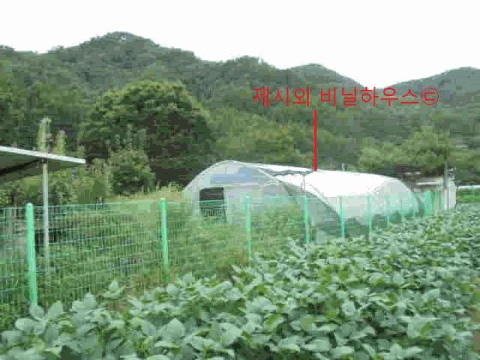 충청북도 제천시 봉양읍 학산리 350 답 경매 사진 3