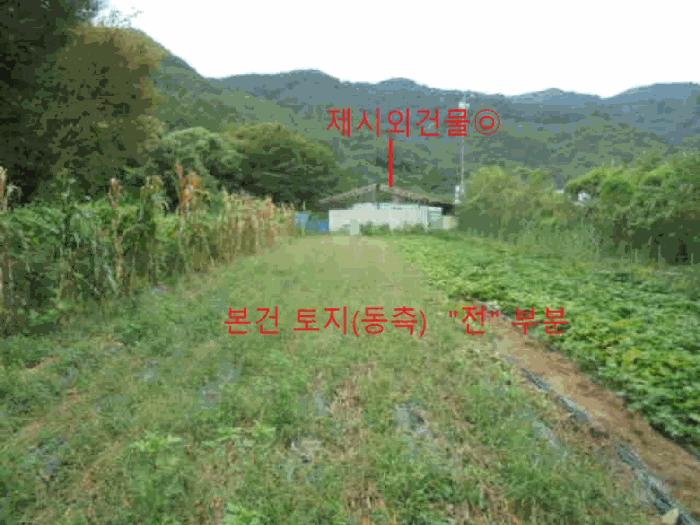 충청북도 제천시 봉양읍 학산리 350 답 경매 사진 6