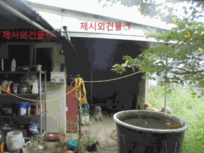충청북도 제천시 봉양읍 학산리 350 답 경매 사진 8