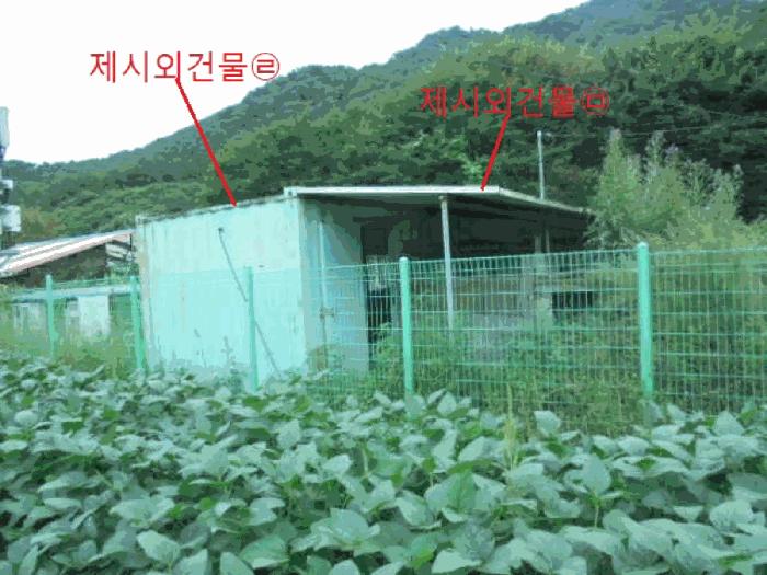 충청북도 제천시 봉양읍 학산리 350 답 경매 사진 9
