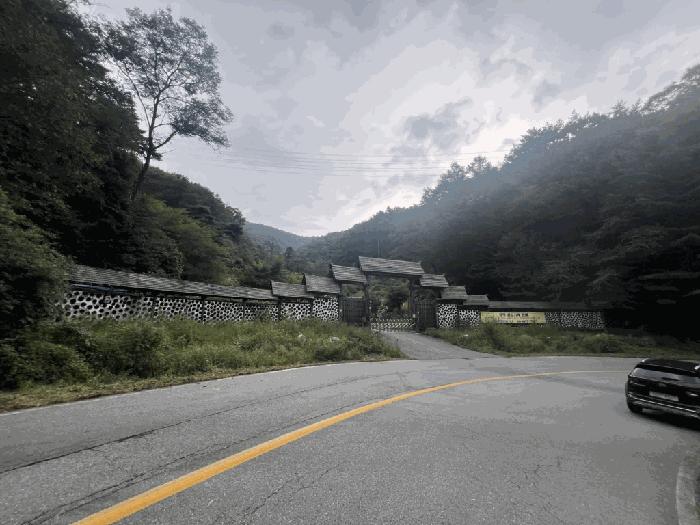 충청북도 제천시 임야