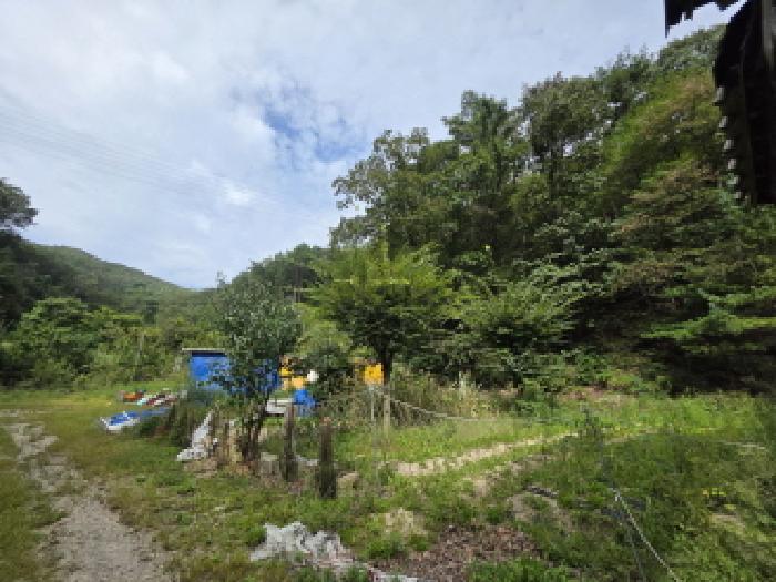 충청북도 제천시 봉양읍 원박리 산5-1 임야 경매 사진 13