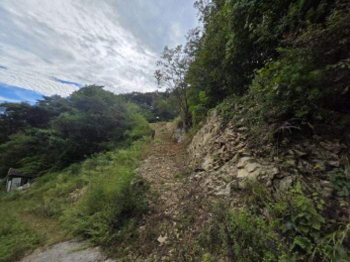 충청북도 제천시 봉양읍 원박리 산5-1 임야 경매 사진 14