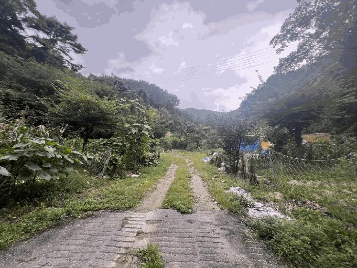 충청북도 제천시 봉양읍 원박리 산5-1 임야 경매 사진 2