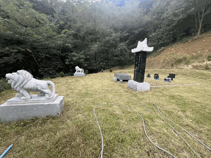 충청북도 제천시 봉양읍 원박리 산5-1 임야 경매 사진 4