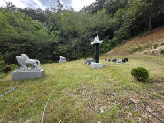 충청북도 제천시 봉양읍 원박리 산5-1 임야 경매 사진 7