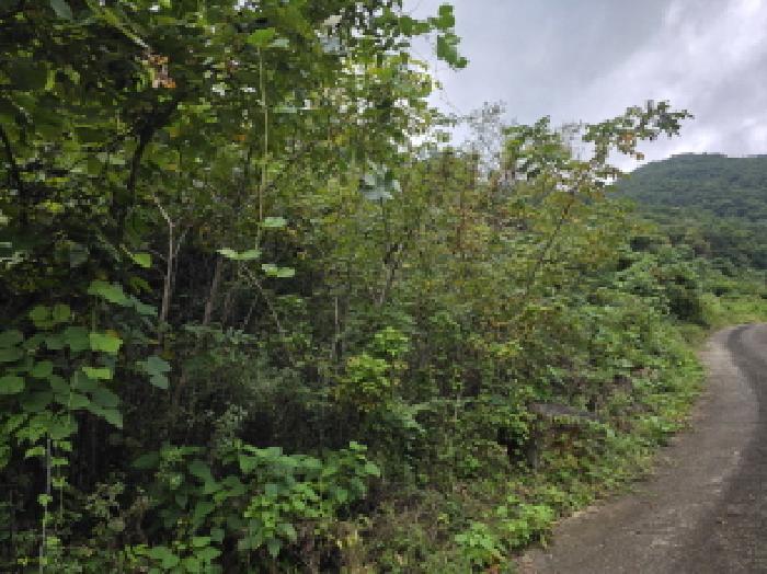 충청북도 제천시 한수면 송계리 920 전 경매 사진 11