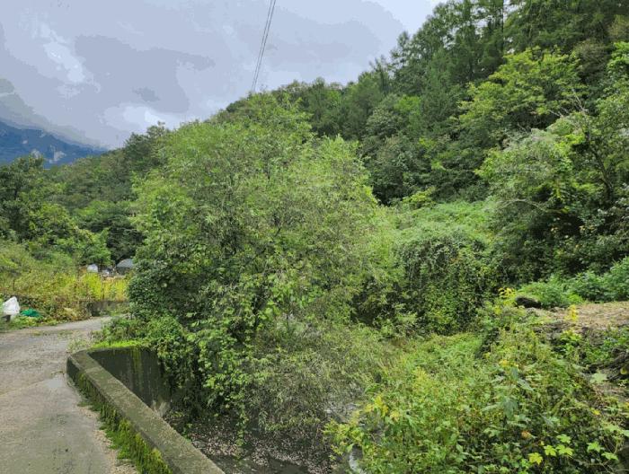 충청북도 제천시 한수면 송계리 916 전 경매 사진 3