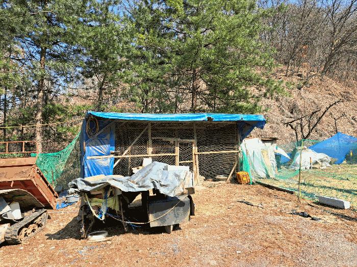 충청북도 충주시 용탄동 876 전 경매 사진 13