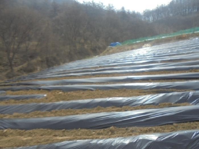 충청북도 충주시 용탄동 876 전 경매 사진 19