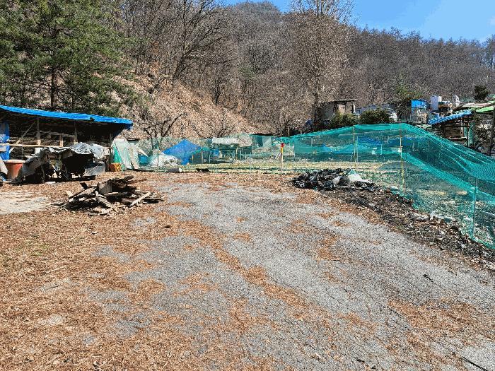 충청북도 충주시 용탄동 876 전 경매 사진 2