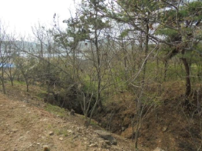 충청남도 부여군 은산면 내지리 527-4 전 경매 사진 5