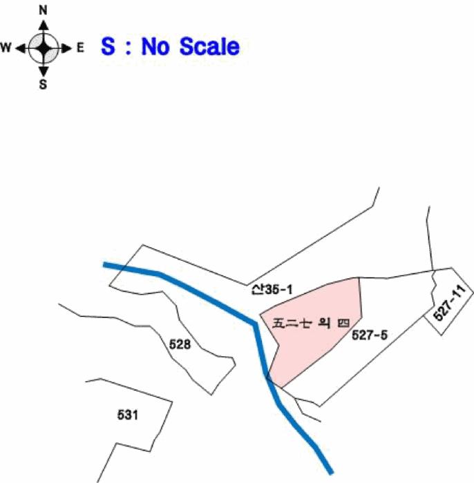 충청남도 부여군 은산면 내지리 527-4 전 경매 사진 8