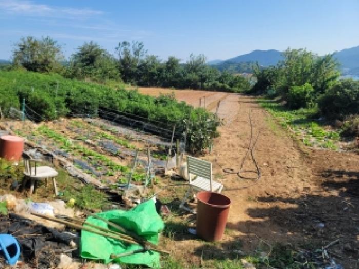 경상남도 통영시 용남면 동달리 231 전 경매 사진 12