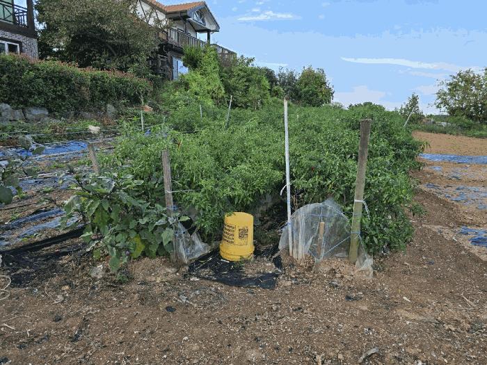 경상남도 통영시 용남면 동달리 231 전 경매 사진 2