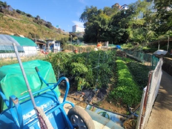경상남도 통영시 무전동 50 답 경매 사진 12