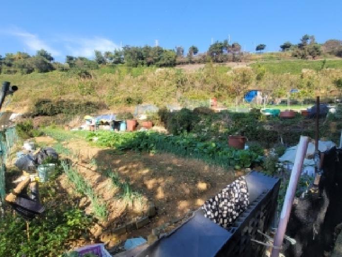 경상남도 통영시 무전동 50 답 경매 사진 14