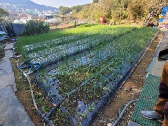 경상남도 통영시 무전동 50 답 경매 사진 17