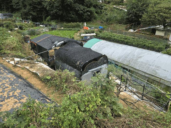 경상남도 통영시 무전동 50 답 경매 사진 7