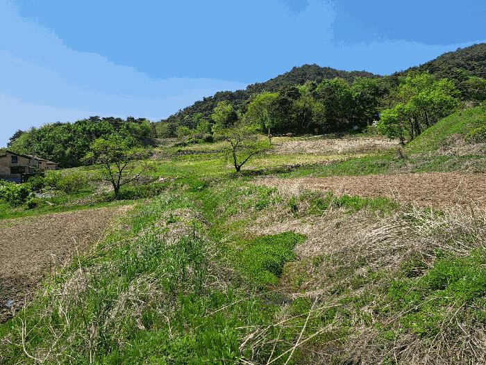 충청북도 충주시 답