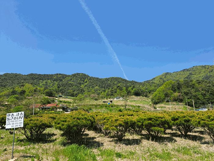 충청북도 충주시 산척면 송강리 1821-4 전 경매 사진 12