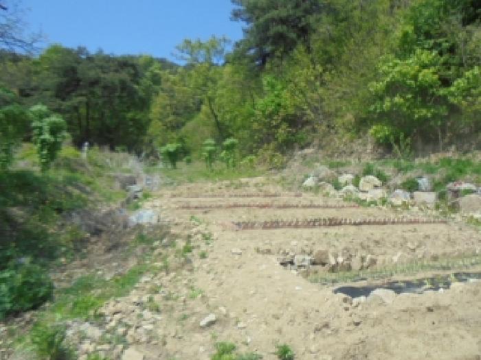 충청북도 충주시 산척면 송강리 1821-4 전 경매 사진 15