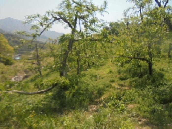 충청북도 충주시 산척면 송강리 1821-7 전 경매 사진 14